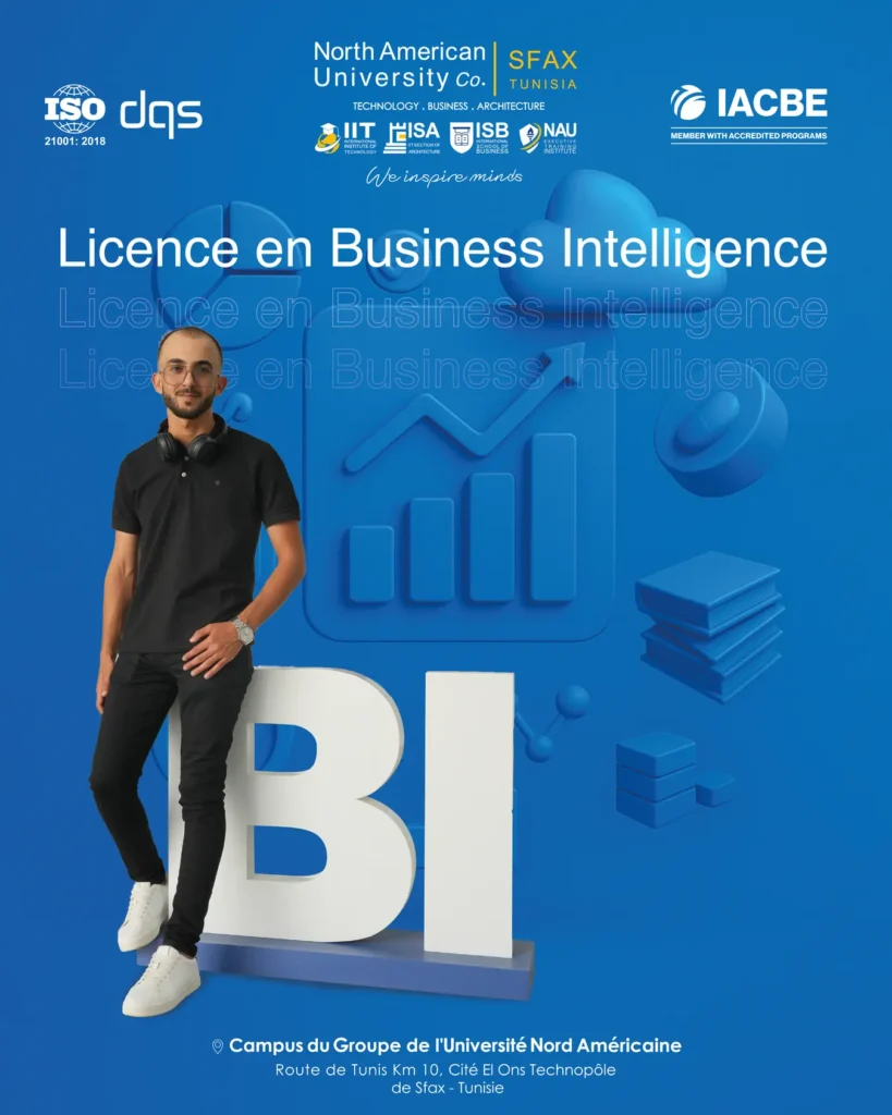 BI_Plan de travail 1 copie (Copier) (Copier)